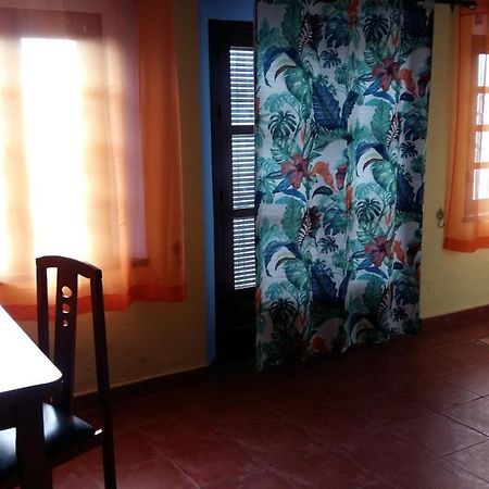 Sunshine Apartment At Tropical Coast Of Granada Almunecar Exterior photo
